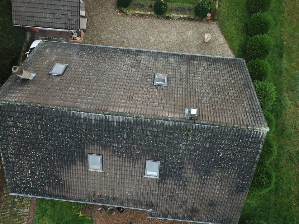 Toiture couverte de mousses, vue de drone